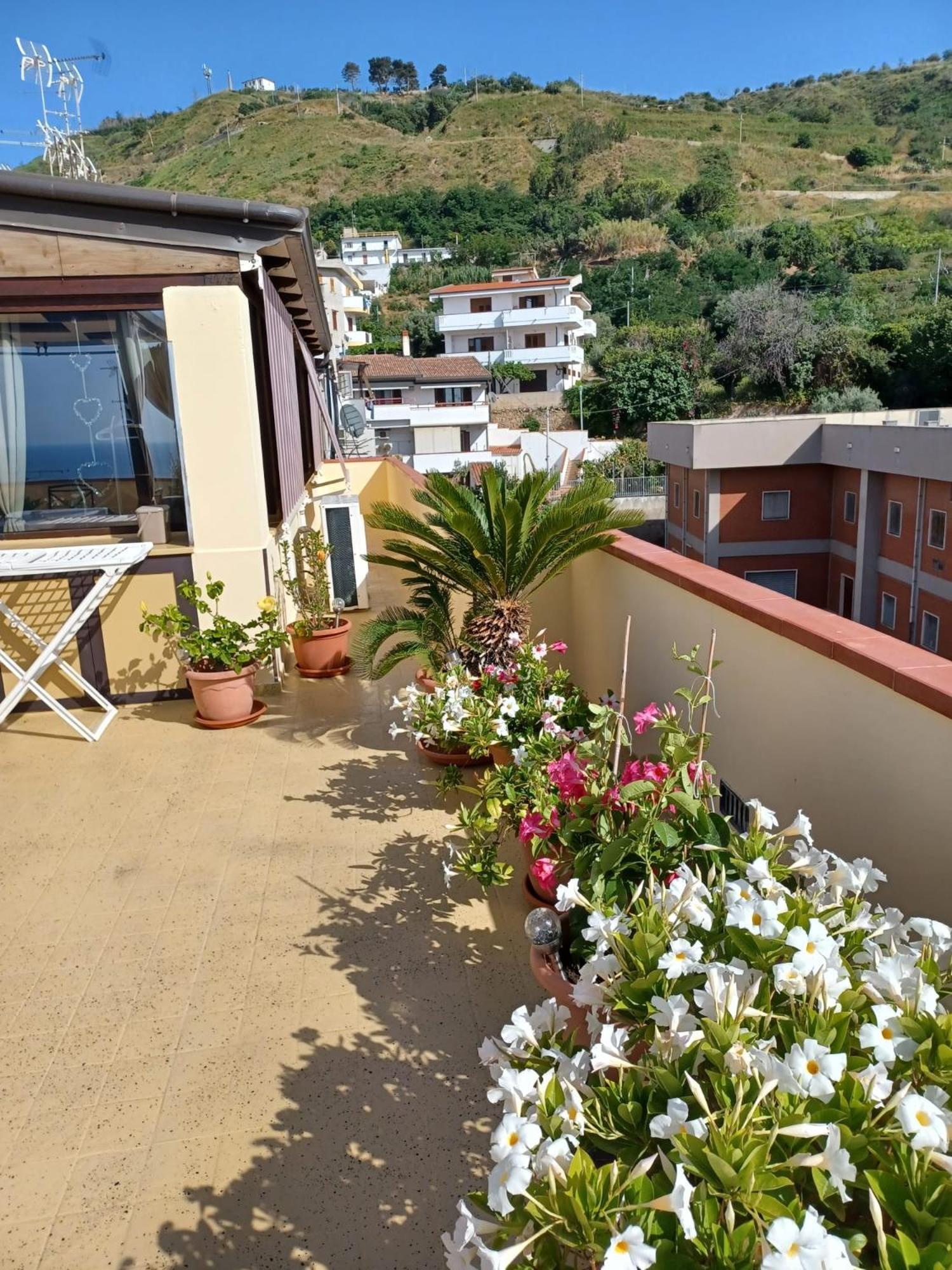 Terrazza Sabine Accomodation 特罗佩阿 外观 照片