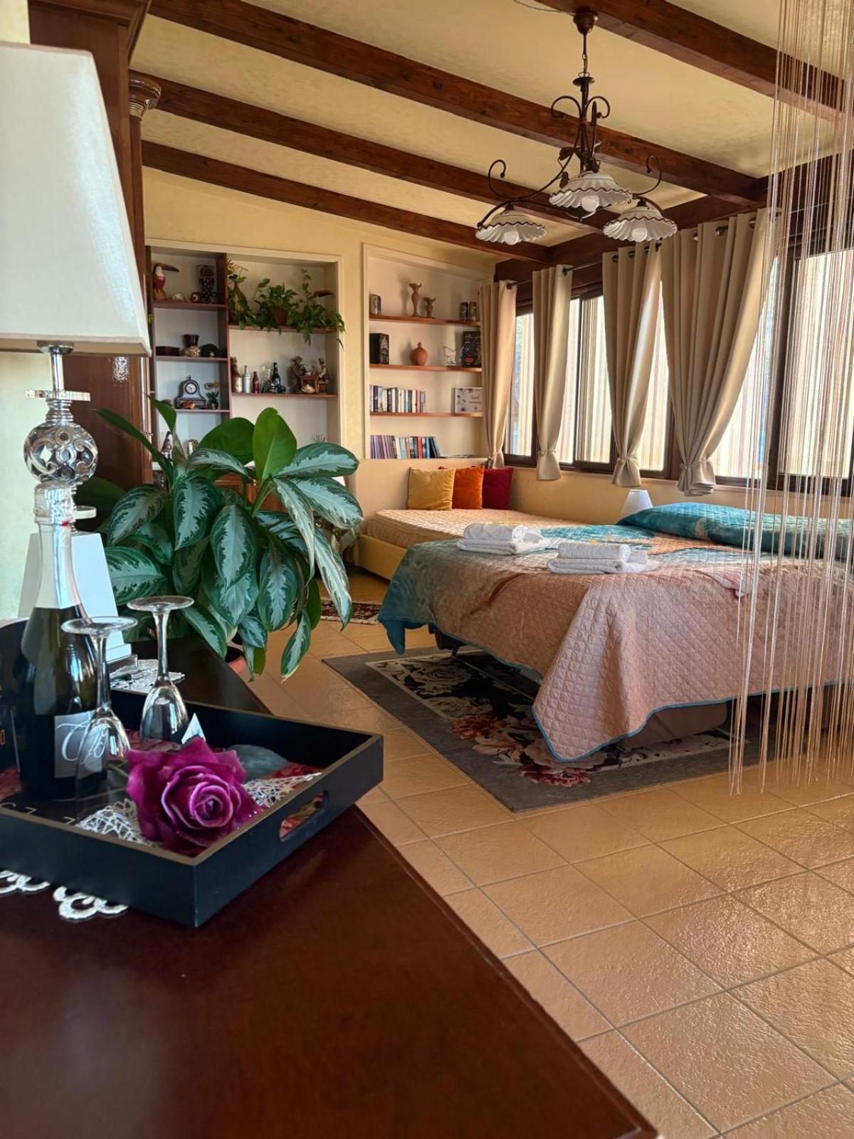 Terrazza Sabine Accomodation 特罗佩阿 外观 照片