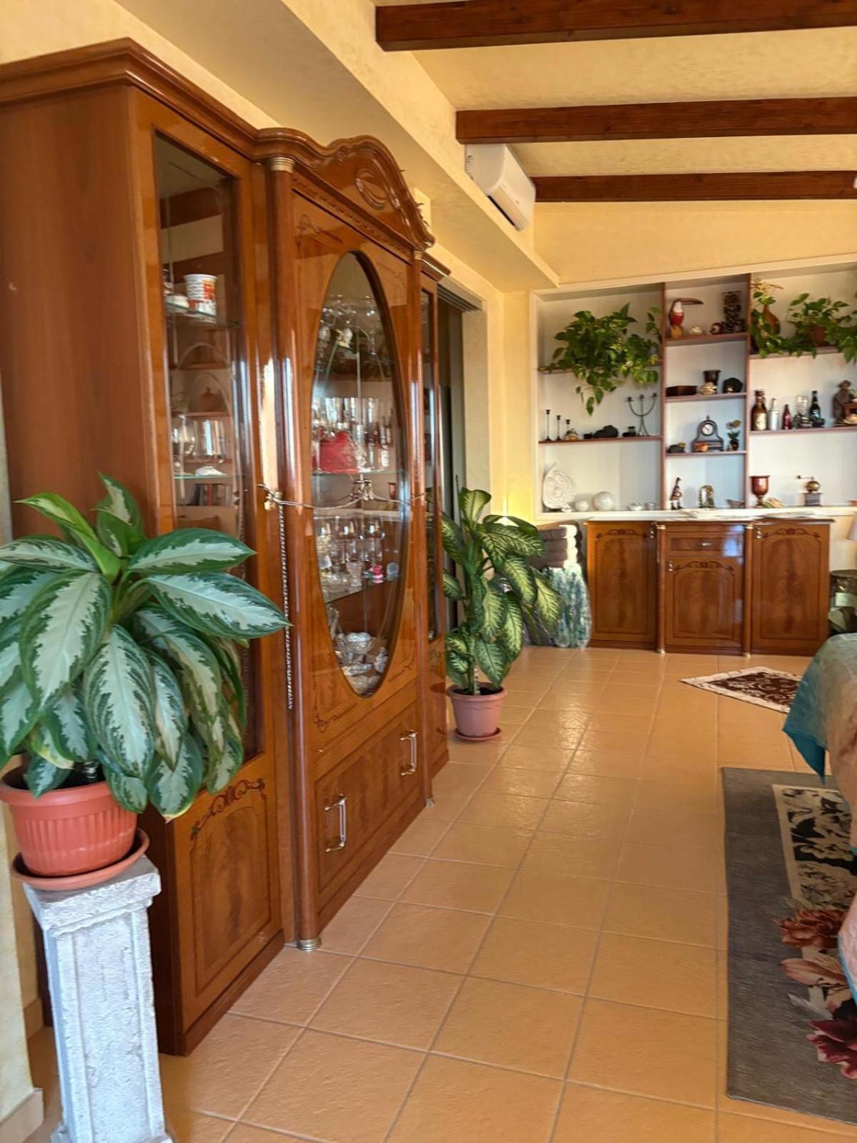 Terrazza Sabine Accomodation 特罗佩阿 外观 照片